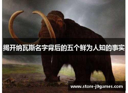 揭开纳瓦斯名字背后的五个鲜为人知的事实 揭开纳瓦斯名字背后的五个鲜为人知的事实