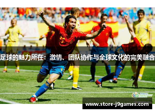 足球的魅力所在：激情、团队协作与全球文化的完美融合