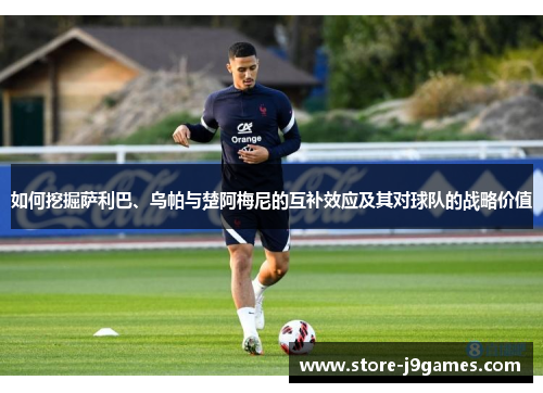 如何挖掘萨利巴、乌帕与楚阿梅尼的互补效应及其对球队的战略价值